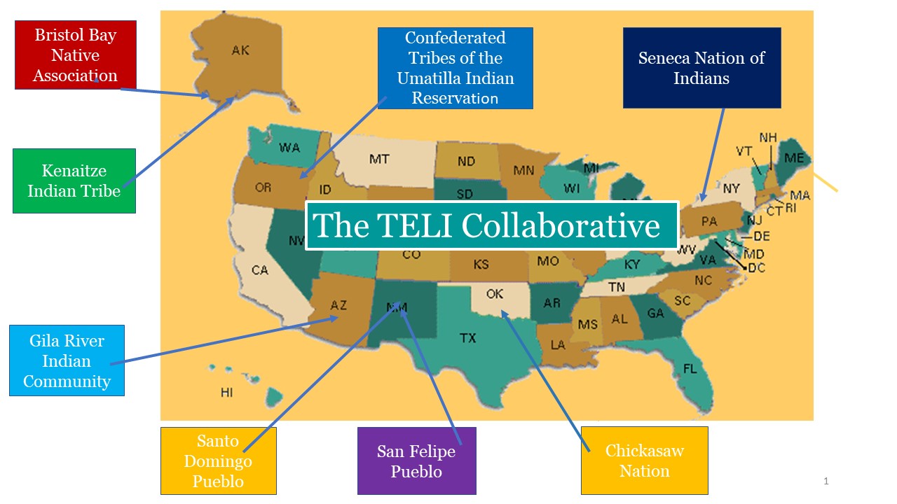 TELI States Map